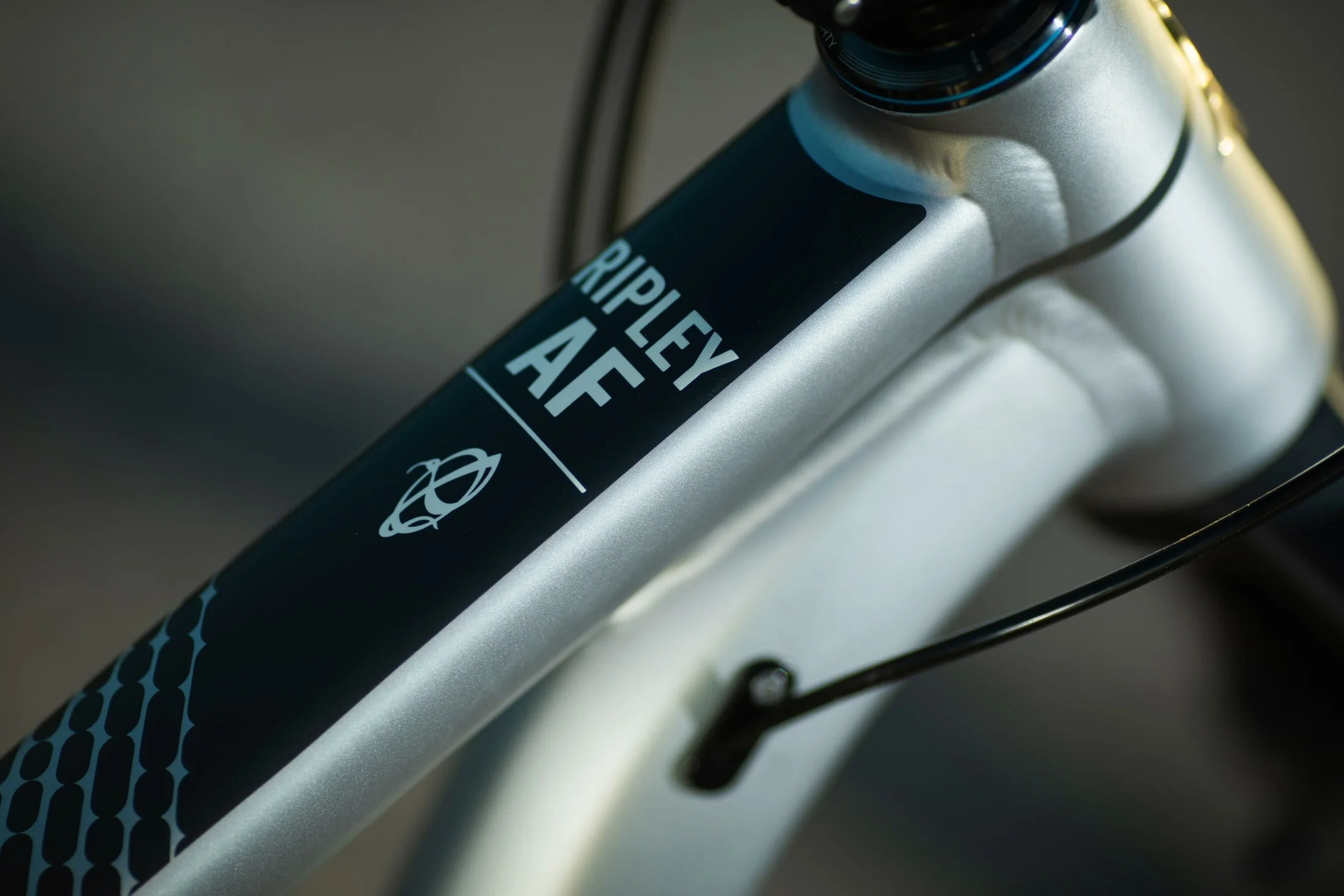 Ibis Ripley AF - Bill's Bike Shop