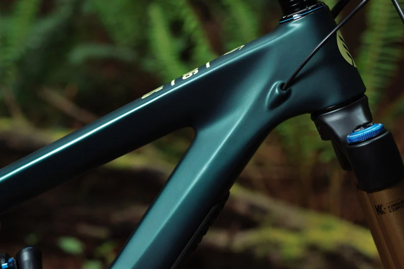 IBIS HD6 (MD) Enchanted Forest Green (Frameset Only) - Bill's Bike Shop